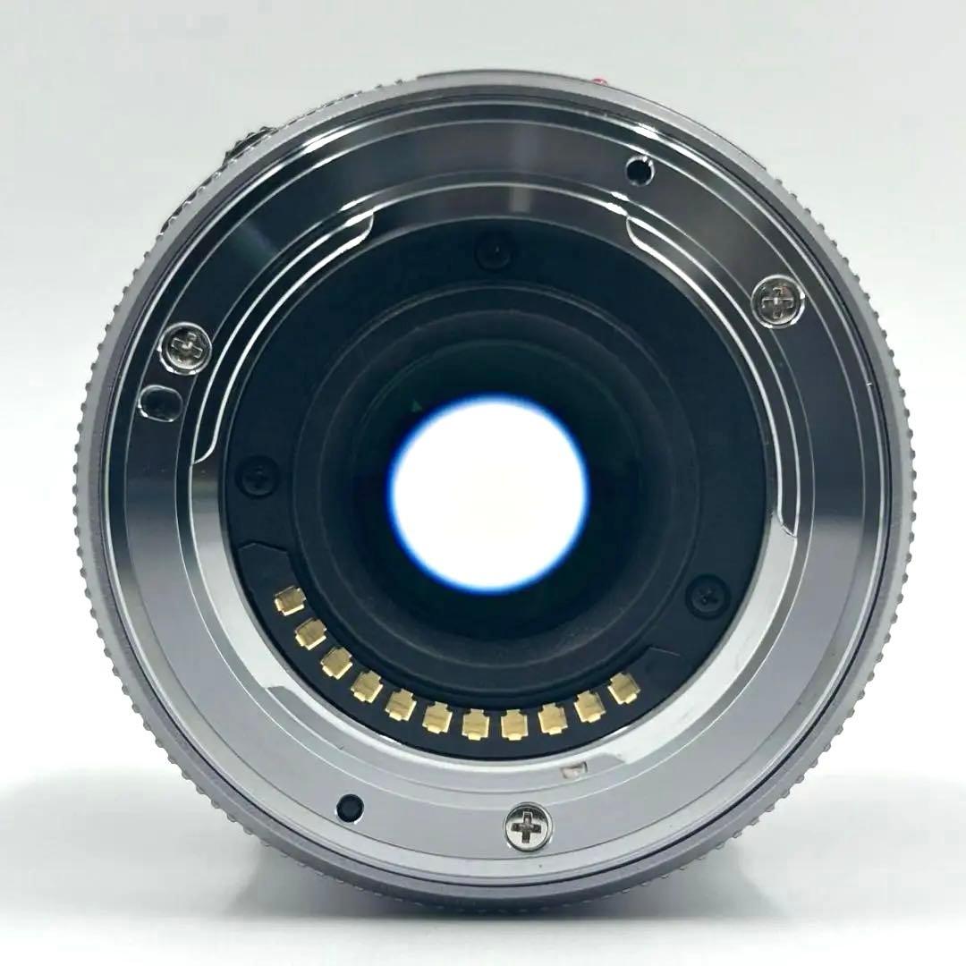 レンズ(ズーム) LUMIX G X VARIO 45-175mm F4.0-5.6 ASPH