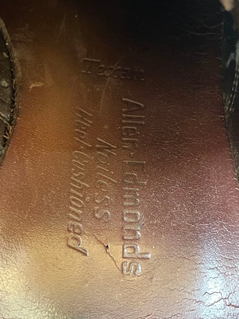 allen edmonds 60s texan シャークスキン　Vチップ