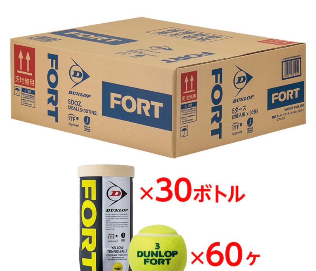 DUNLOP FORT テニスボール 60個入り