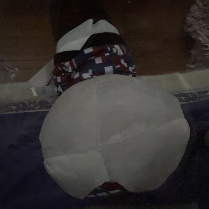 BＴＳ(v)ＳＥＧ A景品1番くじビッグ寝そべりぬいぐるみ