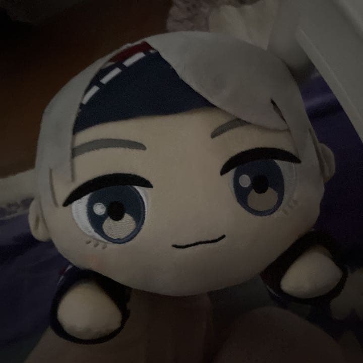 BＴＳ(v)ＳＥＧ A景品1番くじビッグ寝そべりぬいぐるみ