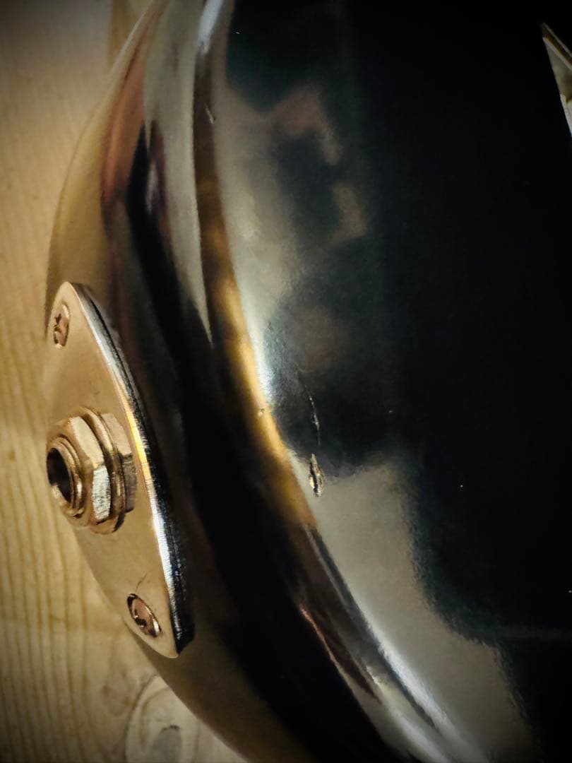 ギター FREEDOM CUSTOM GUITAR RESEARCH EZa 24f