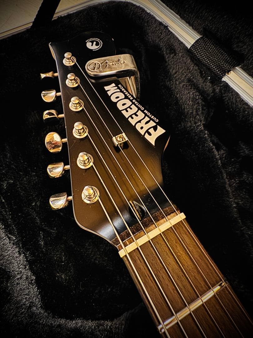 ギター FREEDOM CUSTOM GUITAR RESEARCH EZa 24f