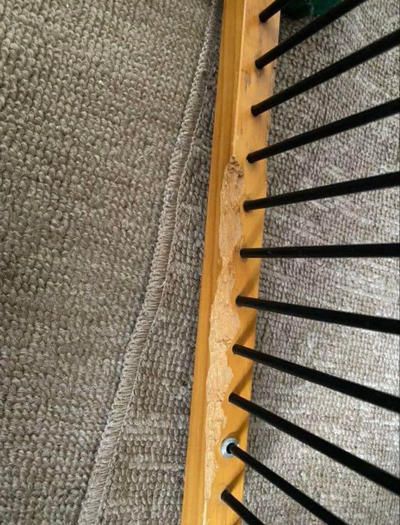 メディカル60 本体＋天井ルーフ　カワイ　フェレット　サークル　小動物　犬　廃盤