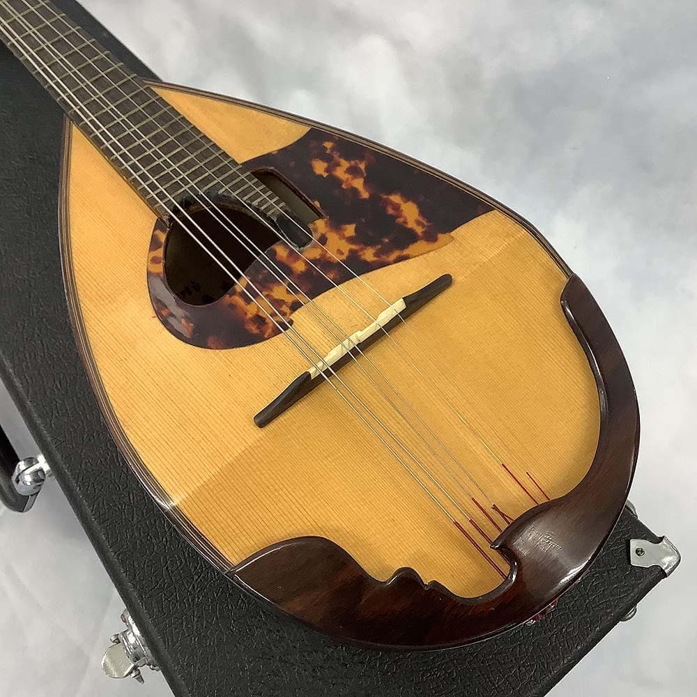 落合忠男 マンドリン 1978 ハードケース付