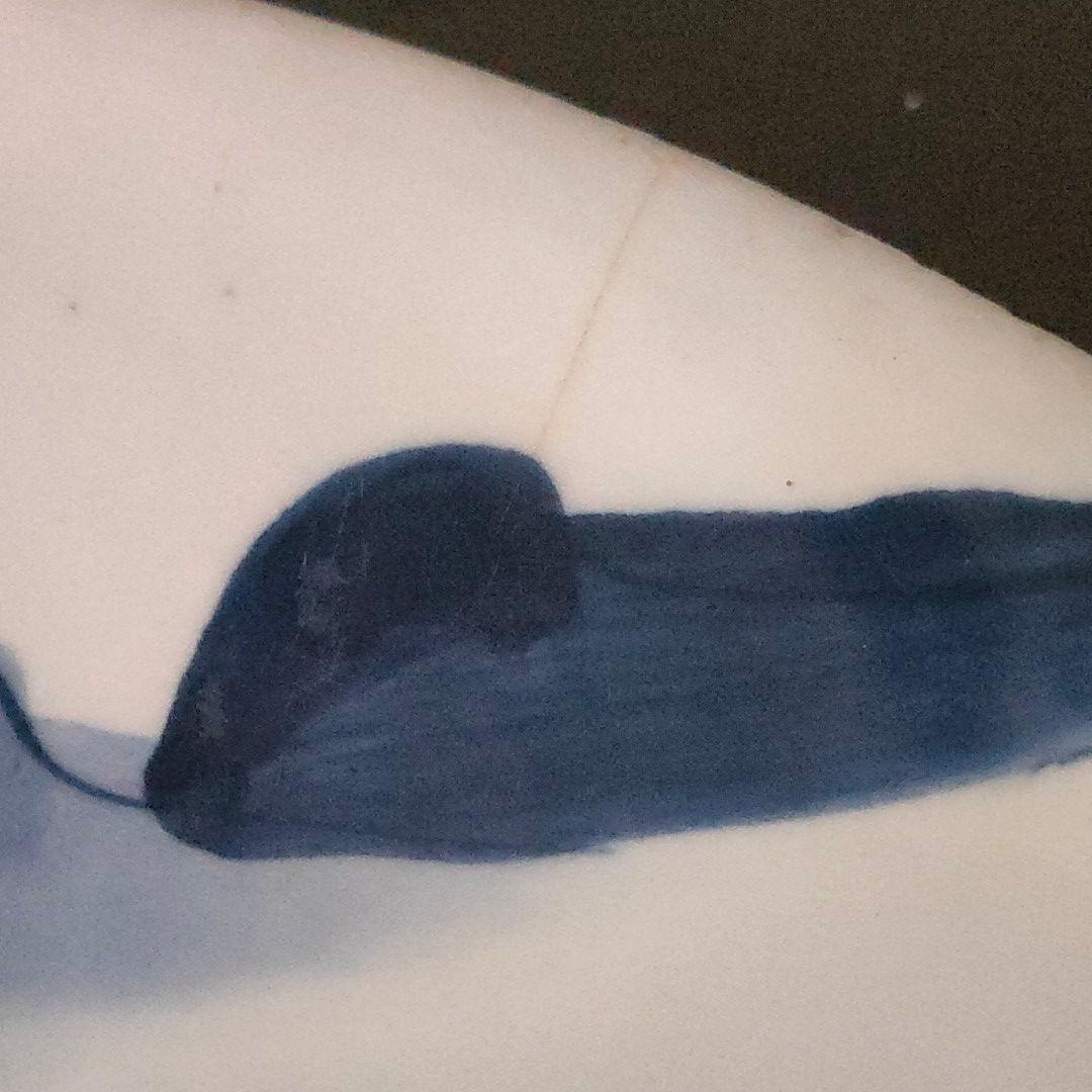 染付　大皿 ２枚組　31cm