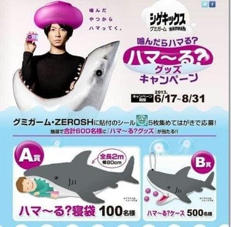 ❤️非売品★新品★嵐の寝袋★当選★UHA味覚糖★A賞★ハマ～る?★相葉雅紀★限定