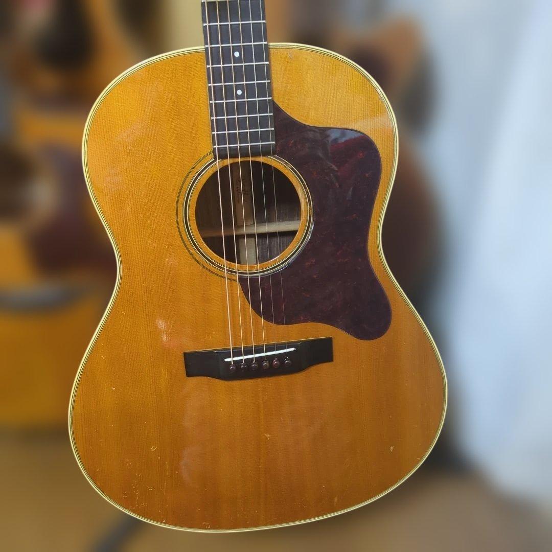 Stafford，希少！SAD-MC.オール単板、全ラッカー塗装