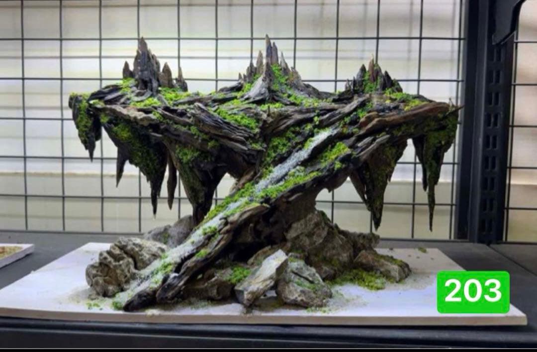 TTD 203【⭐︎ sneaker様⭐︎】【美品・数量限定】