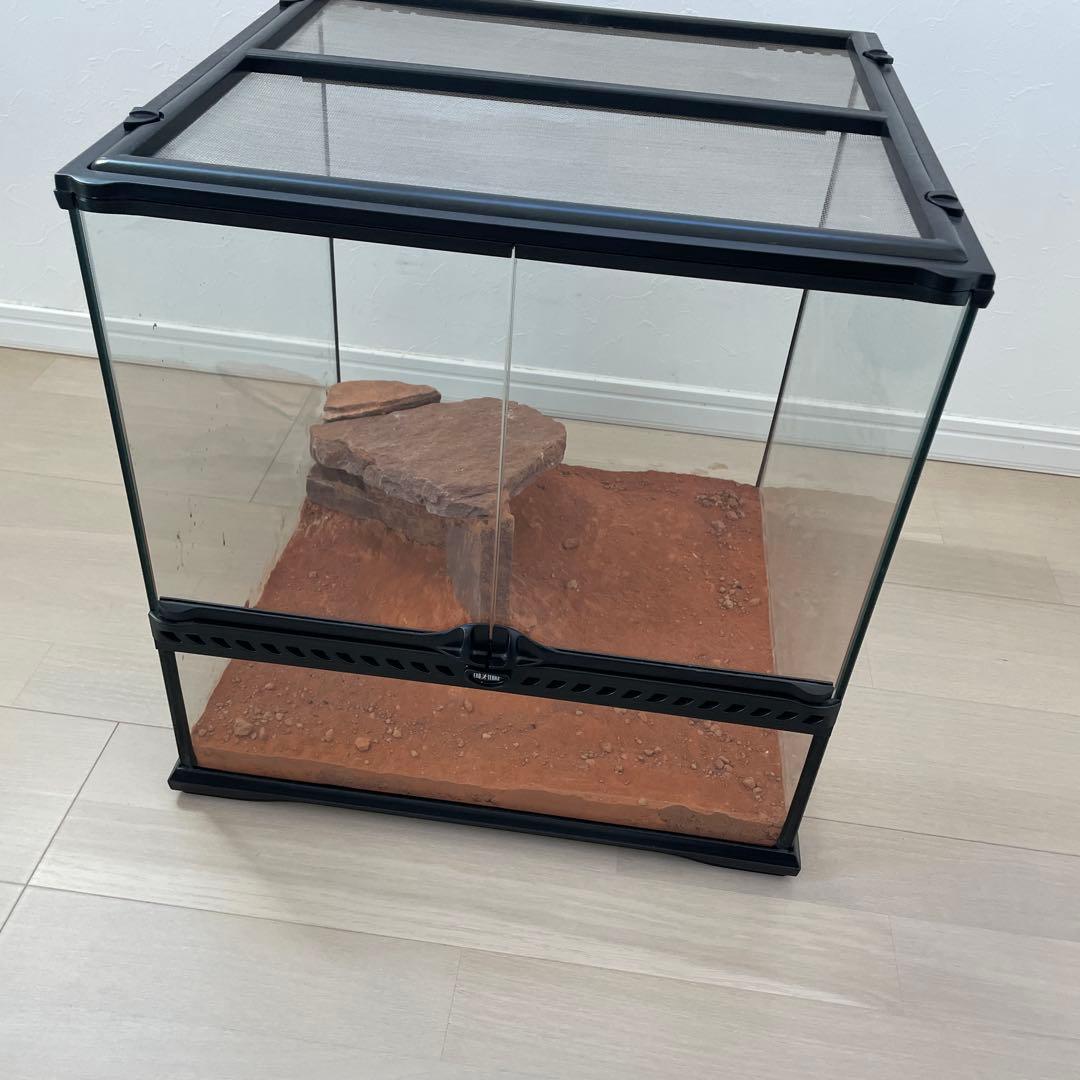 グラステラリウム　4545 エキゾテラ　飼育　ケージ　爬虫類　両生類　レイアウト