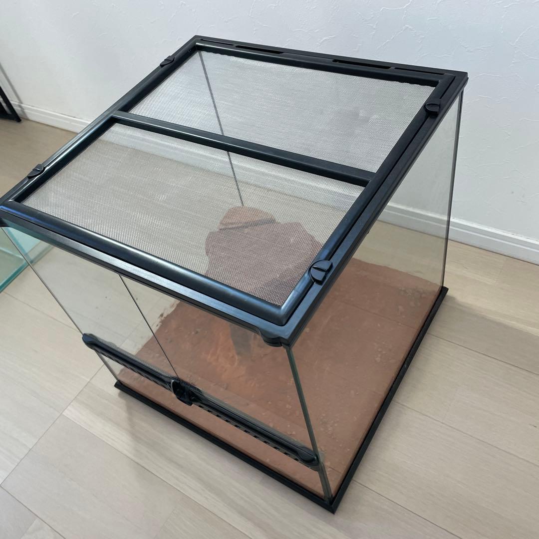 グラステラリウム　4545 エキゾテラ　飼育　ケージ　爬虫類　両生類　レイアウト