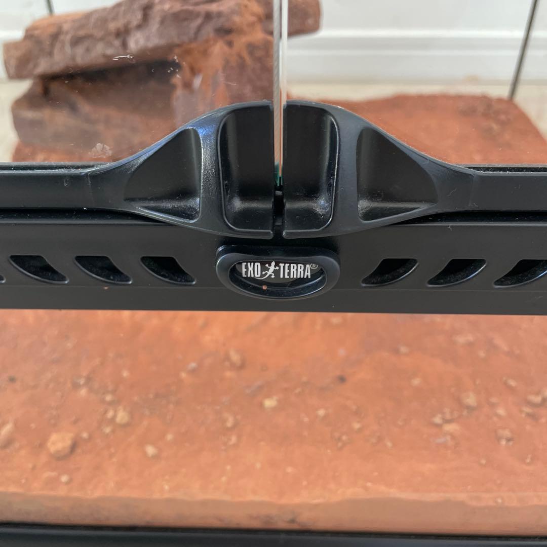 グラステラリウム　4545 エキゾテラ　飼育　ケージ　爬虫類　両生類　レイアウト