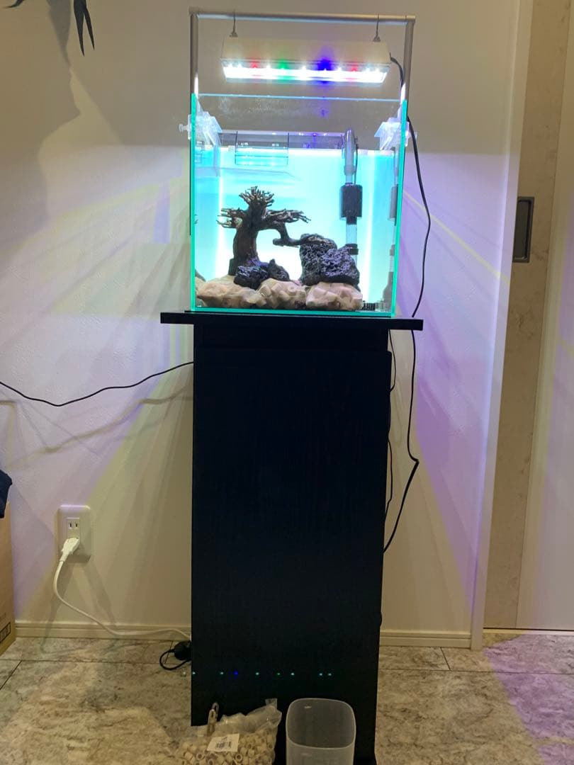 せ*い様 【引き取り限定】30㌢キューブガラス水槽 LEDライト付き 流木と岩の