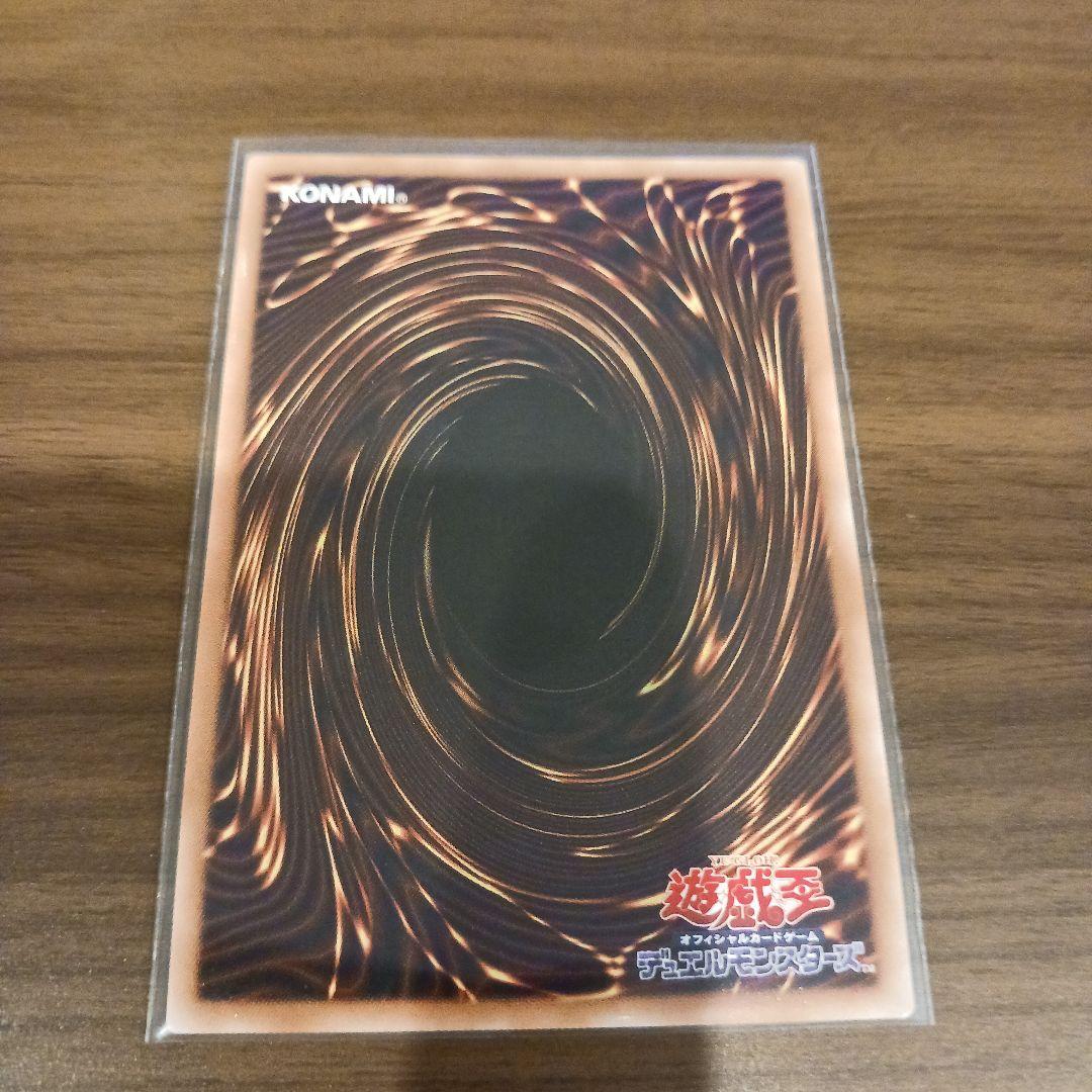 石*龍様 ブラック・ローズ・ドラゴン