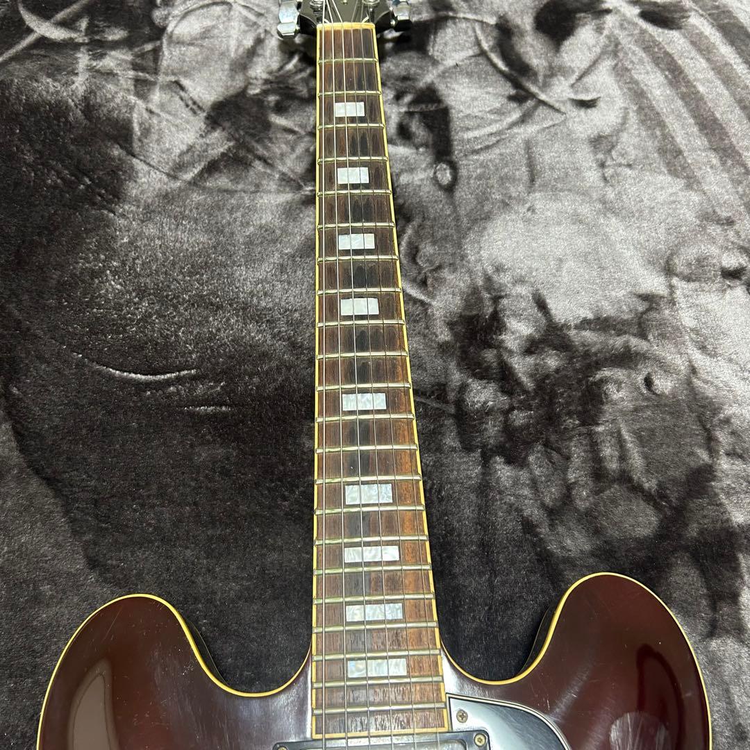 Burny エレキギター サンバースト　楽器 ソフトケース付き