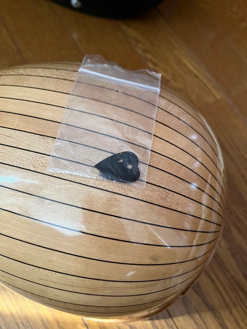 SUZUKI　マンドリン　M-30　 ハードケース付