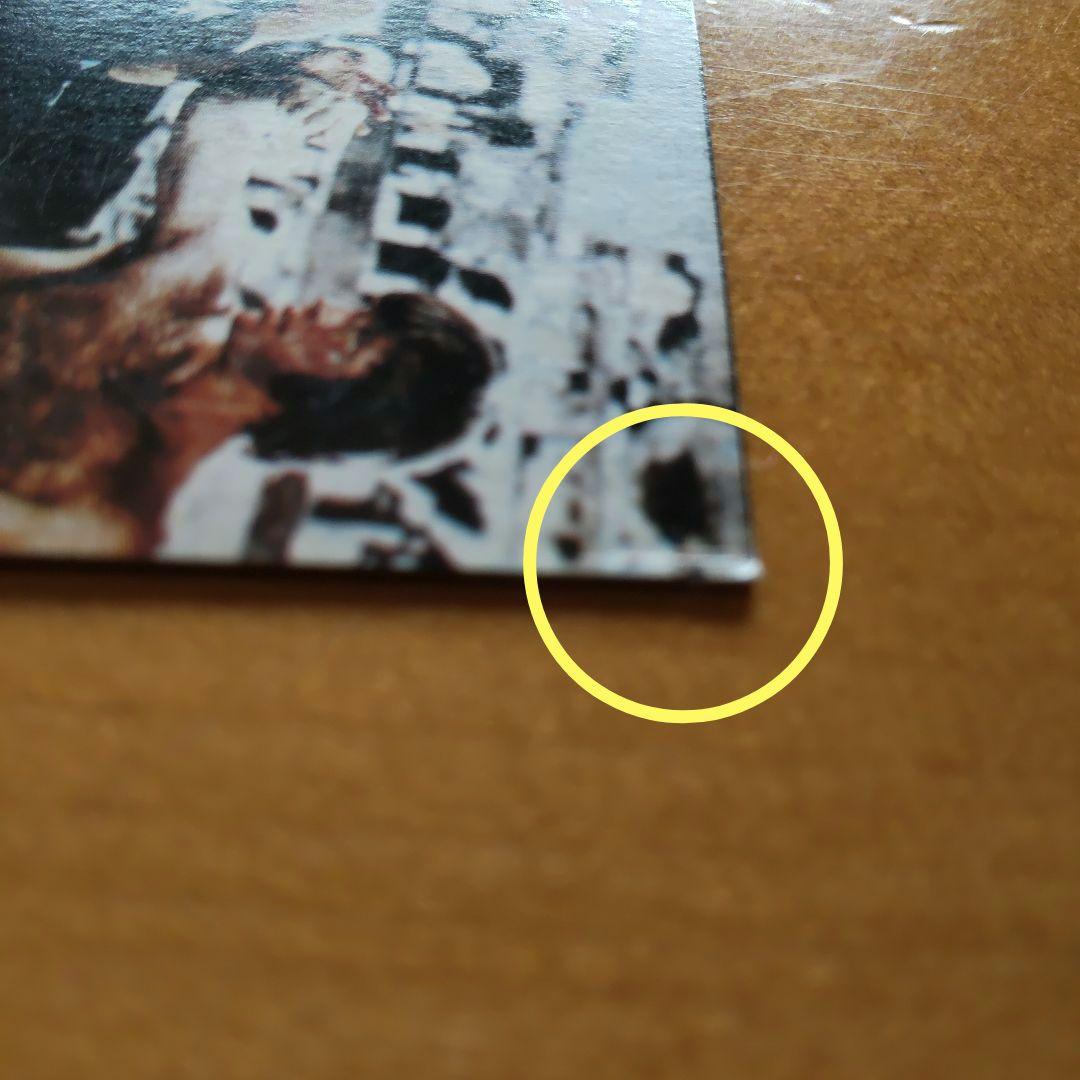 ブルース・リー ドラゴン ミニカード∕山勝∕ラッキーカード∕昭和レトロ∕希少