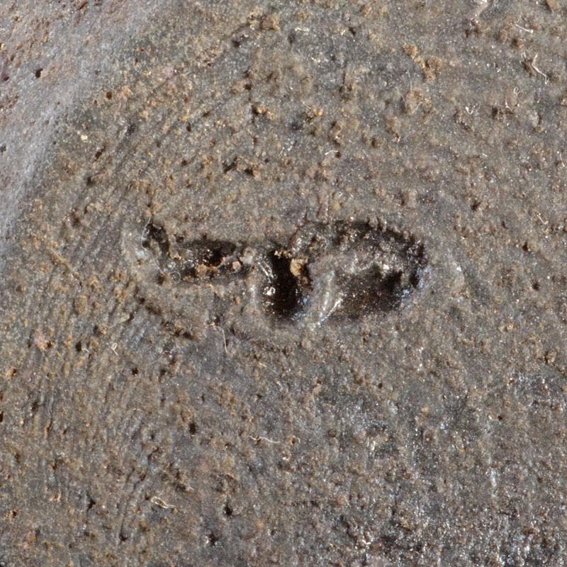 備前焼　山根義秋作　瓢箪茶入　西陣織仕覆二点　有馬頼底（大龍）極箱　VR5609