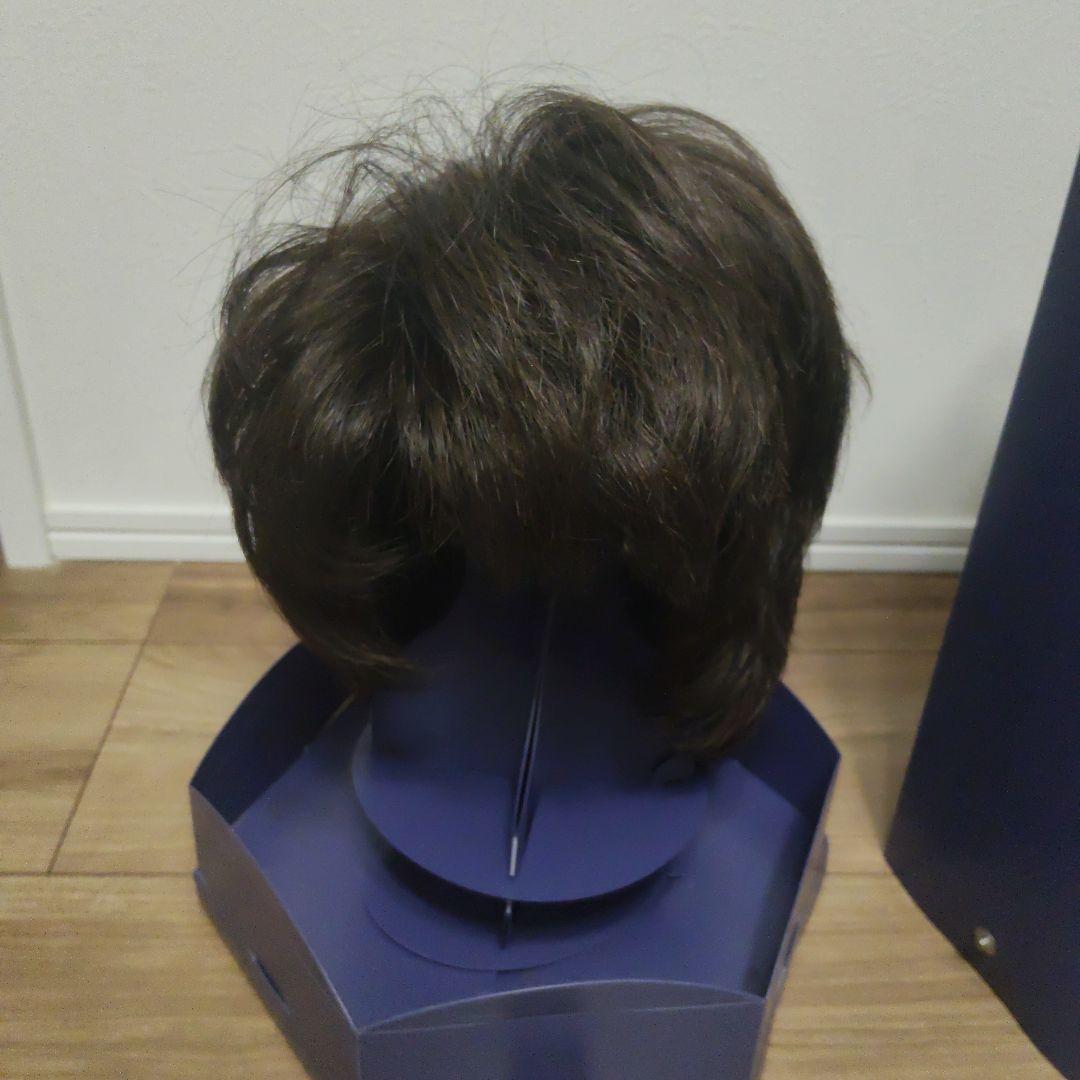 フォンテーヌ　ウィッグ　ＶＭ44 F4