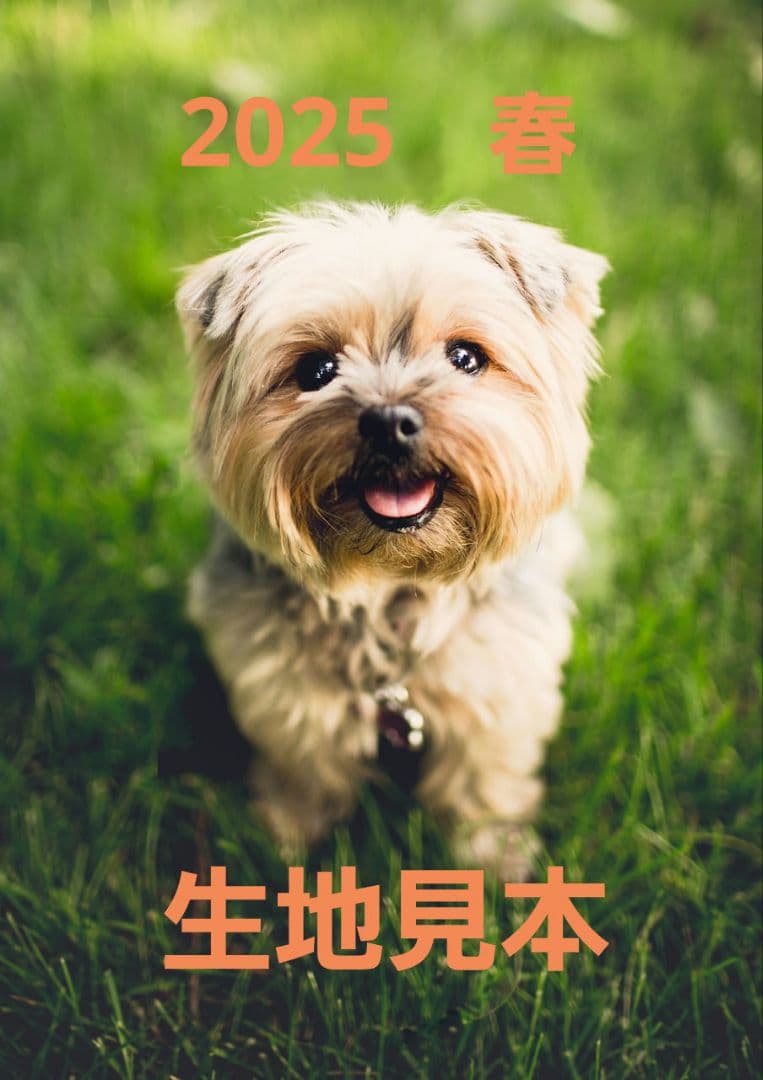 2025　春　　生地見本