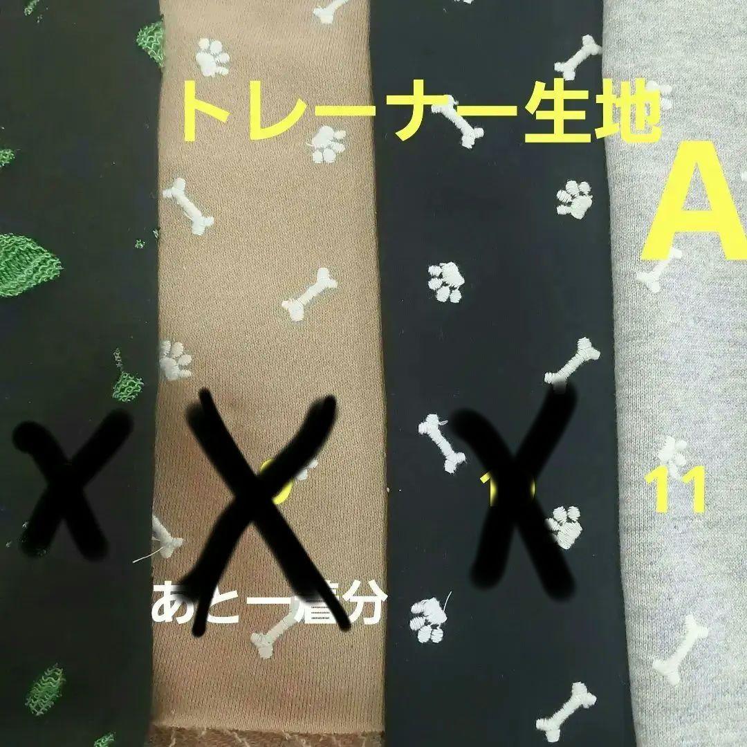 2025　春　　生地見本