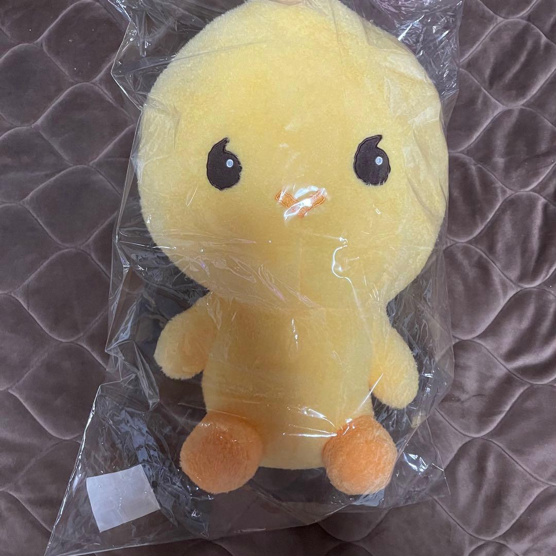 SHINee Taemin テミン taemari テマリ 40cm doll