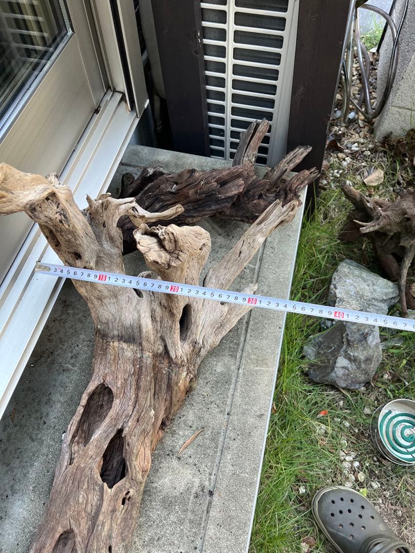 超大型流木　水槽用　アクアリウム③