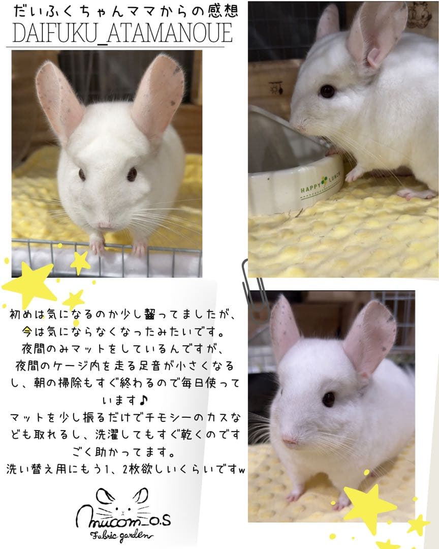 海外アンチピルぽこぽこマット　商品紹介