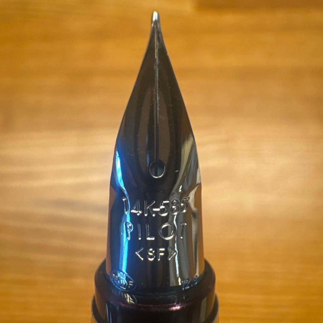 PILOT 万年筆 エラボーロジウム BSF ブラック FE25SRBSF