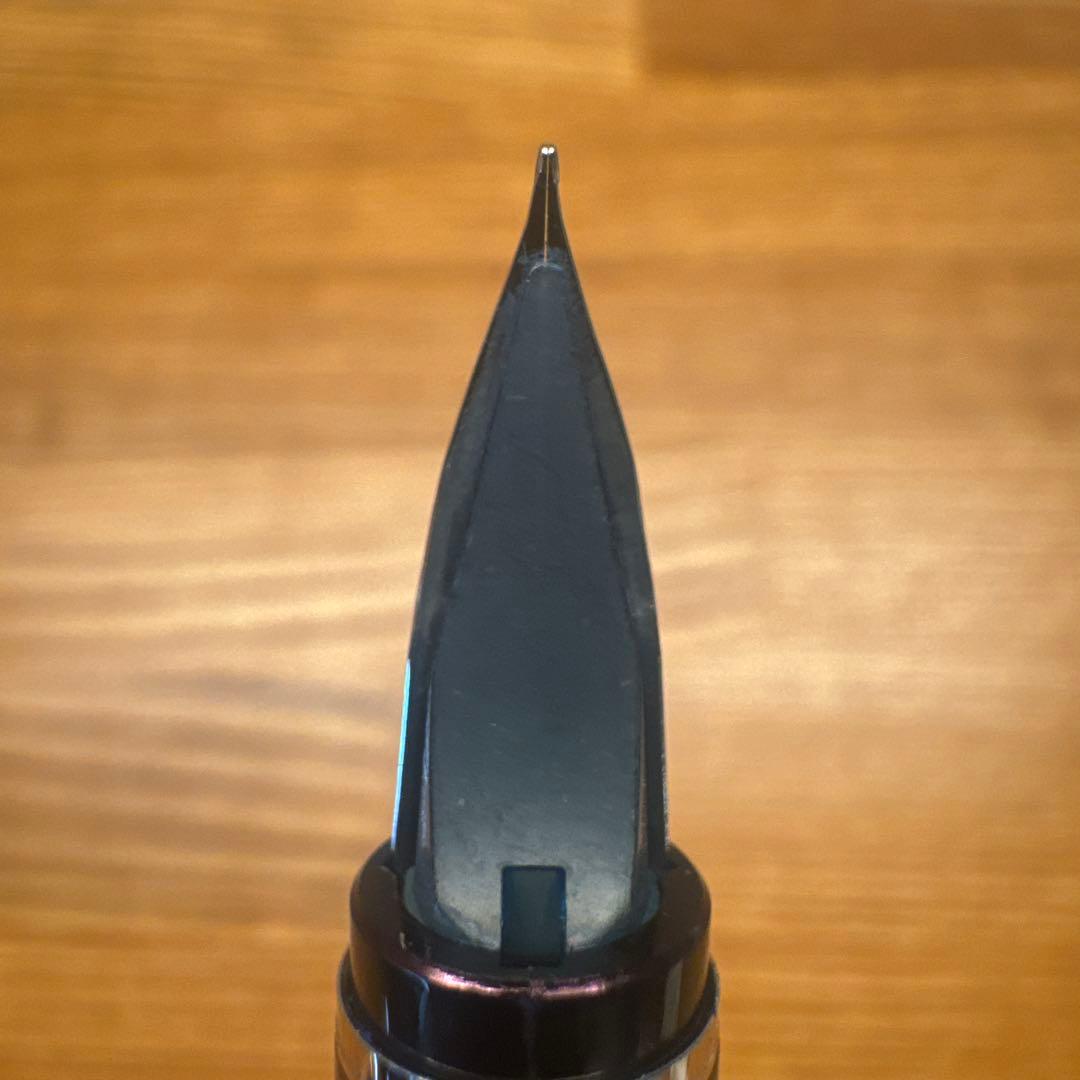 PILOT 万年筆 エラボーロジウム BSF ブラック FE25SRBSF