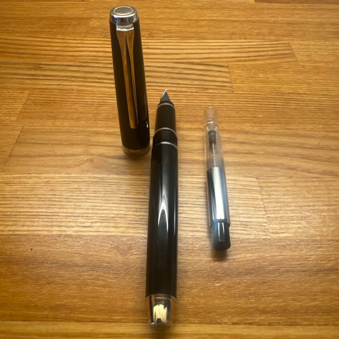 PILOT 万年筆 エラボーロジウム BSF ブラック FE25SRBSF