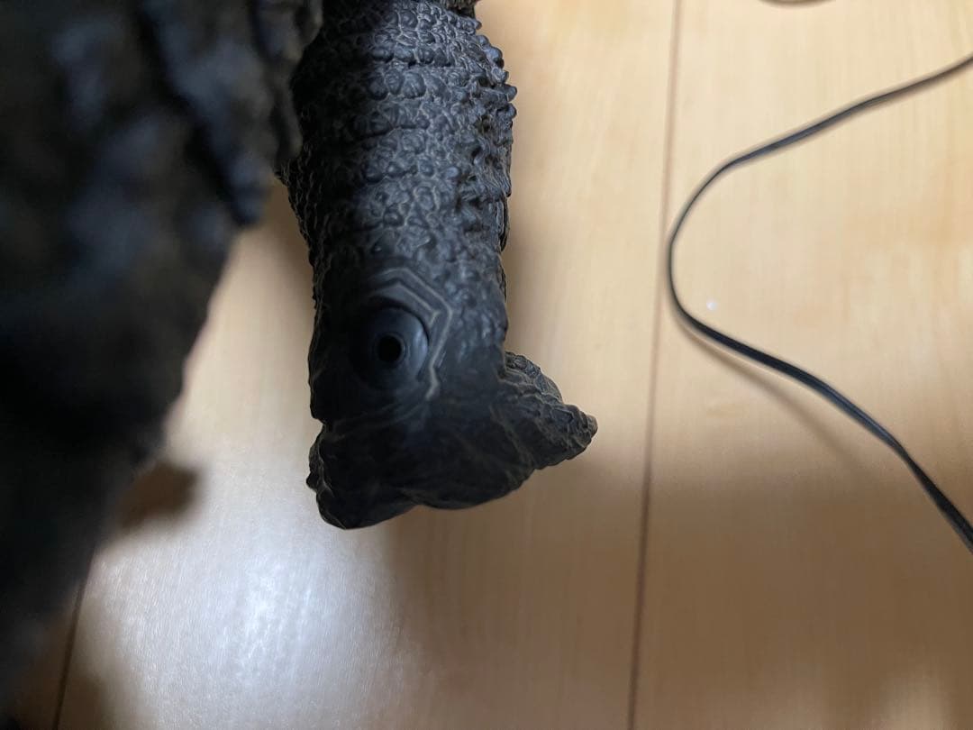 東宝大怪獣シリーズ　ゴジラ(2019)少年リック限定