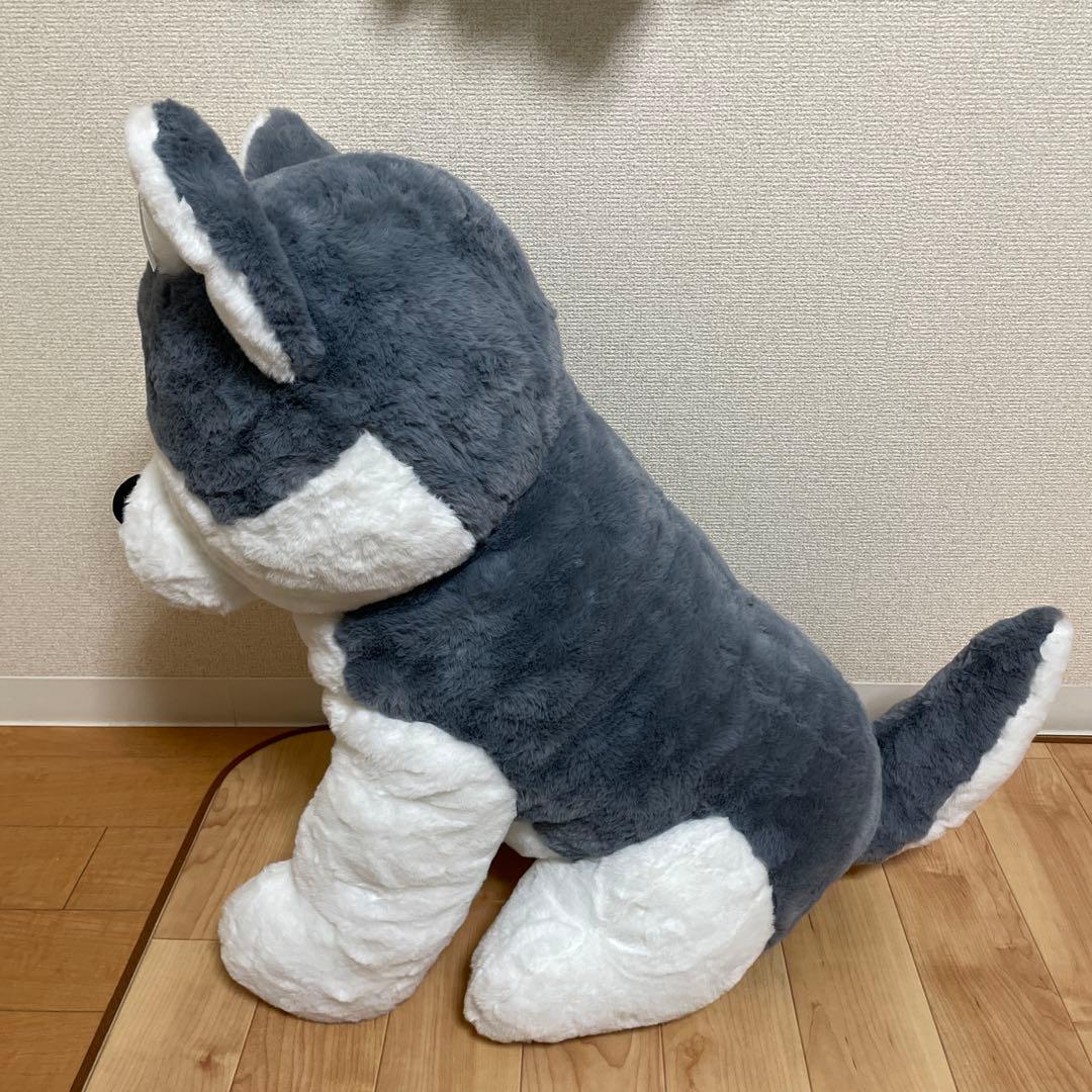 シベリアンハスキー　特大ぬいぐるみ