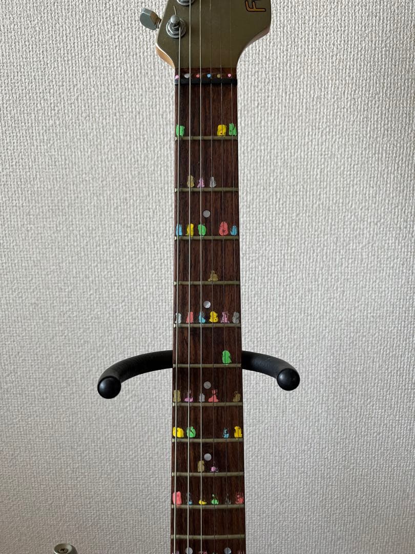 フェルナンデス　サスティナー　FGZ-650S