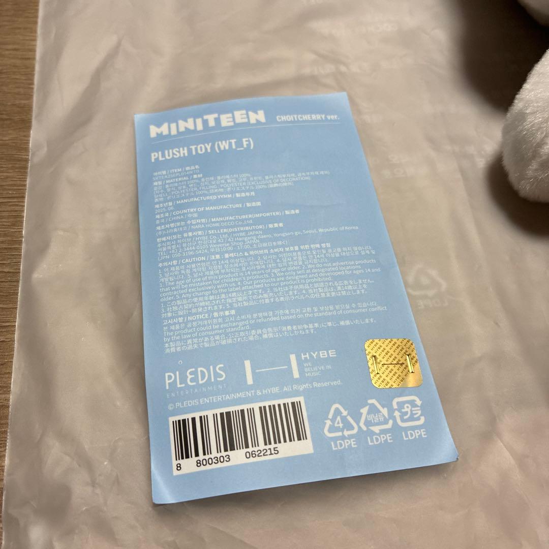 seventeen ミニティーン　エスクプス