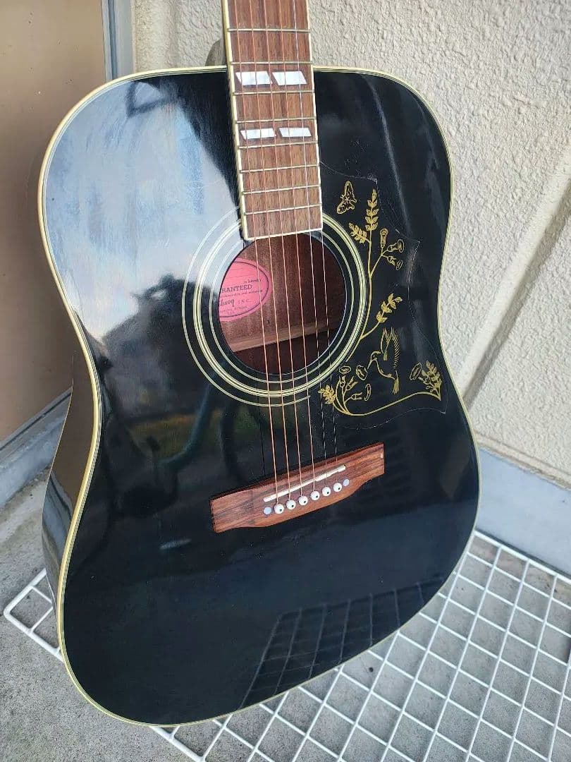 超美品 ブラック ハミングバード　ピアノブラック PU付きエレアコ
