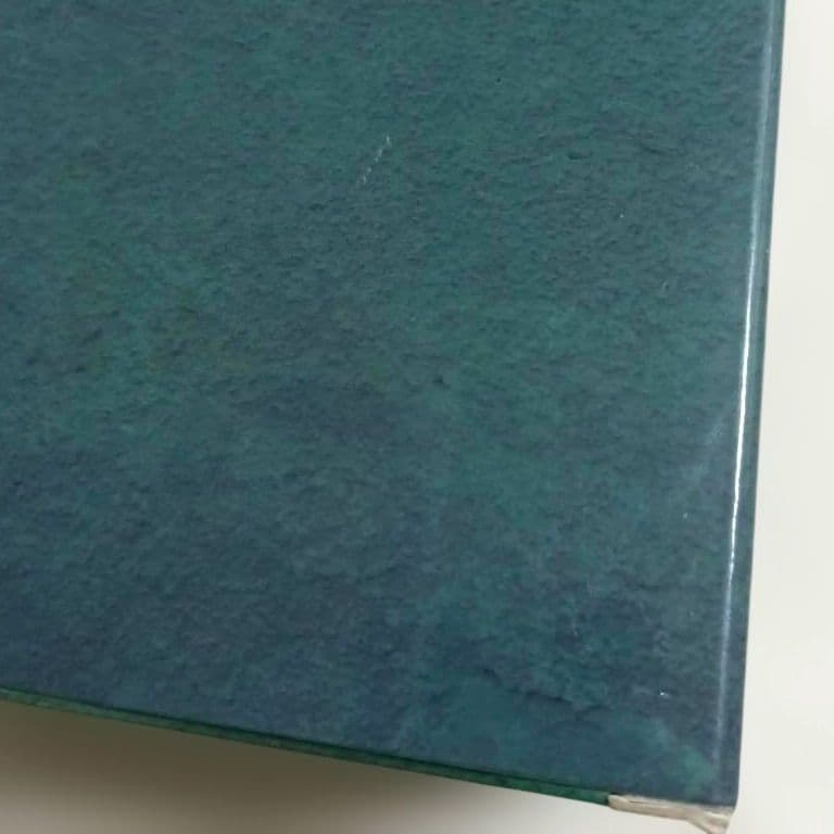 スーパーダンガンロンパ2　超高校級のフィギュア 02　狛枝凪斗