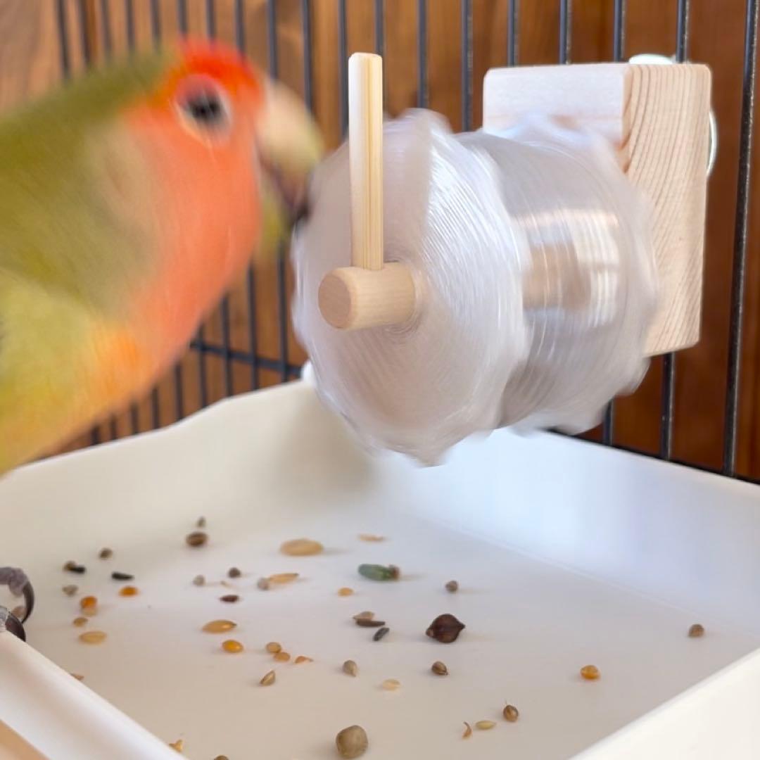 【なち】フォージングスピン＋広浅バード食器mini おまとめ