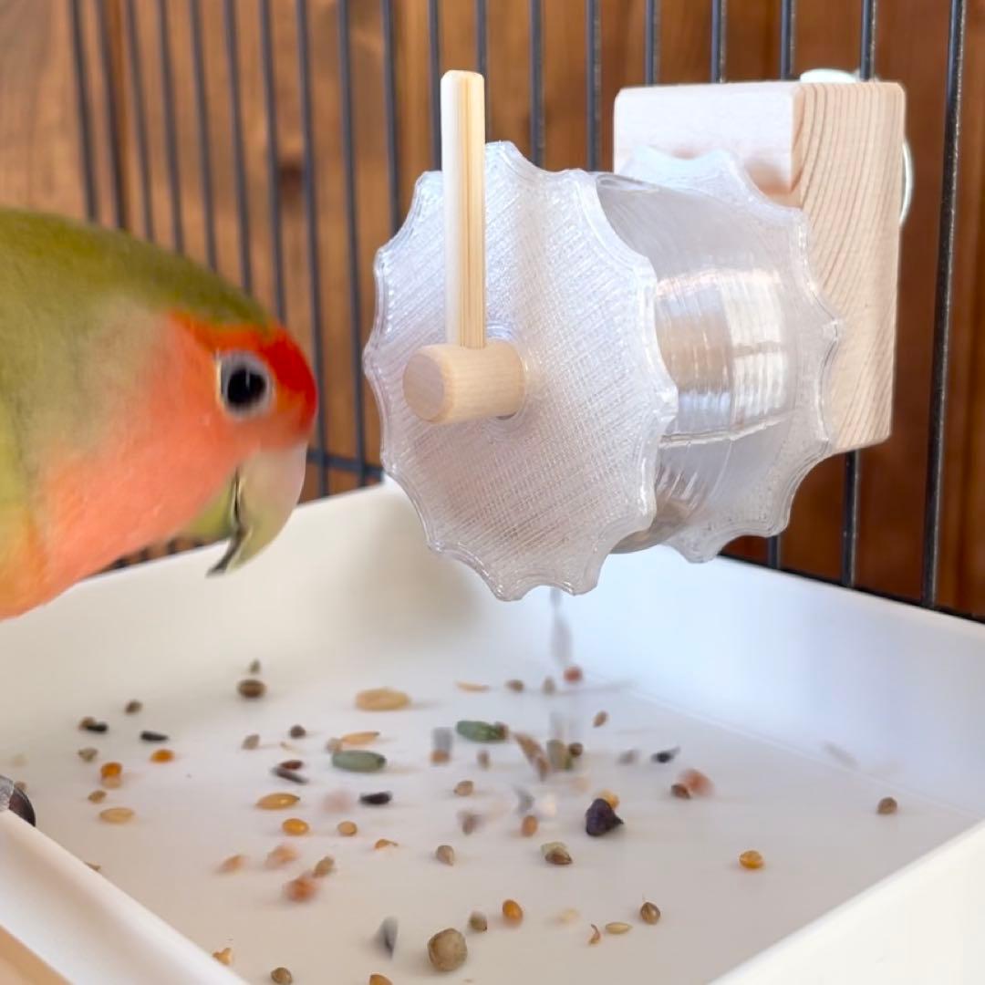 【なち】フォージングスピン＋広浅バード食器mini おまとめ