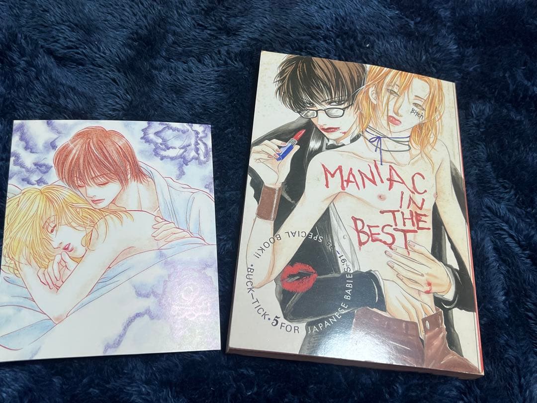 BUCK-TICK 同人誌　約300ページ　櫻井敦司　今井寿