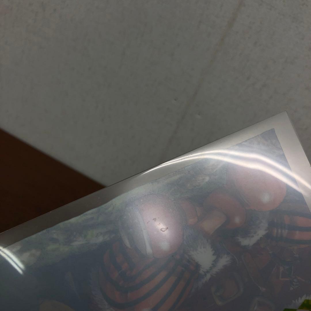 専用❶ワンピース 麦わらストア 20周年記念 特典 クリアファイル 17種21枚