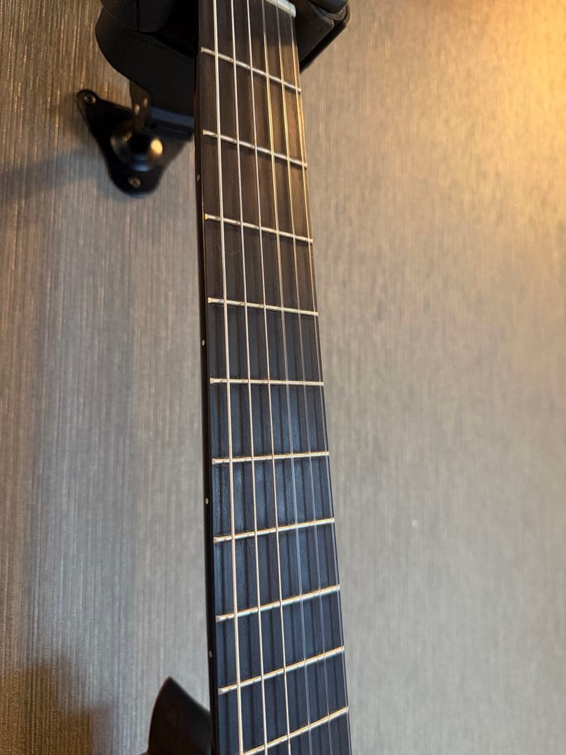 Cordoba Fusion 12 シナモン・バースト《エレガットギター》