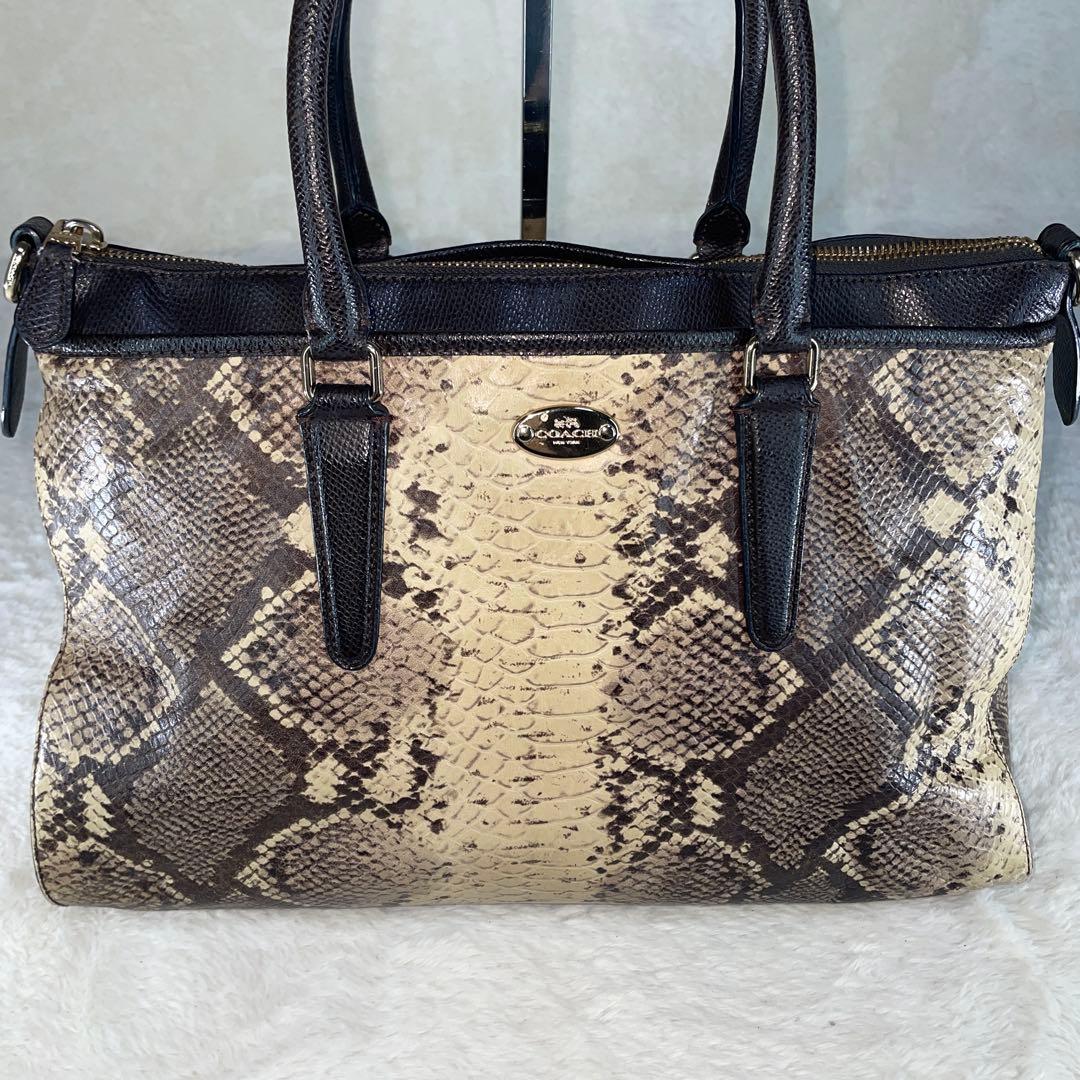 【美品】COACHコーチ ショルダーバッグ パイソン柄 レザー