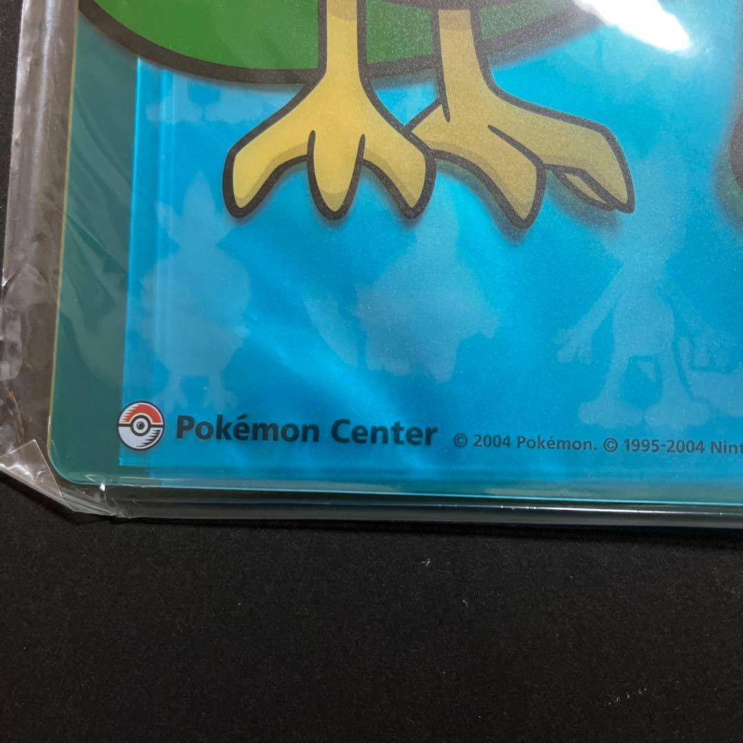 【2004年製】ポケモンセンター限定 A4クリアホルダー ホウエン御三家