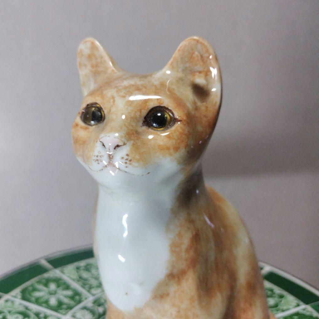 ２匹おまとめウィンスタンレイ、ジンジャーサイズ3とコッカスパニエル