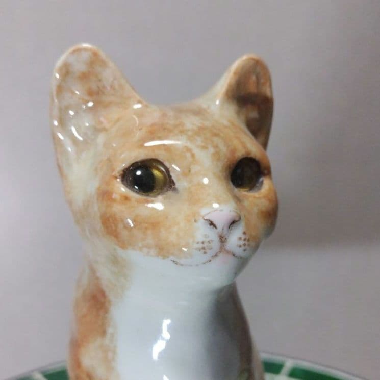 ２匹おまとめウィンスタンレイ、ジンジャーサイズ3とコッカスパニエル