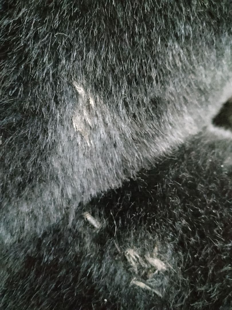 【手渡し限定】ジジぬいぐるみ特大サイズ