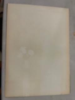 Savignac/サヴィニャック　LA FETES 1976年　リトポスター