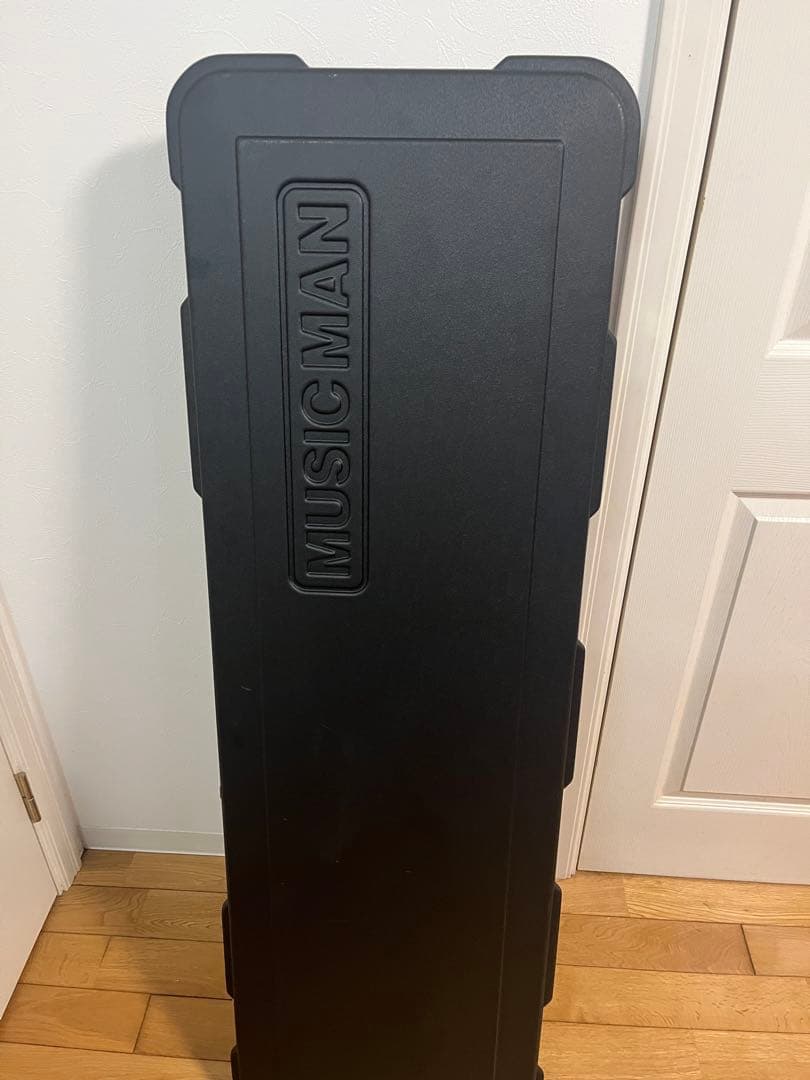 ベース Music Man StingRay special 5