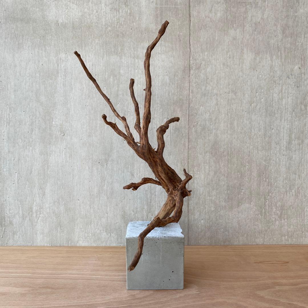 ❹【コンクリート盆栽 流木オブジェ】アクセサリー インテリア アート 爬虫類